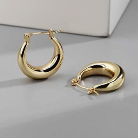 Small Gold Chunky Hoop Earrings - Picture 1 of 5